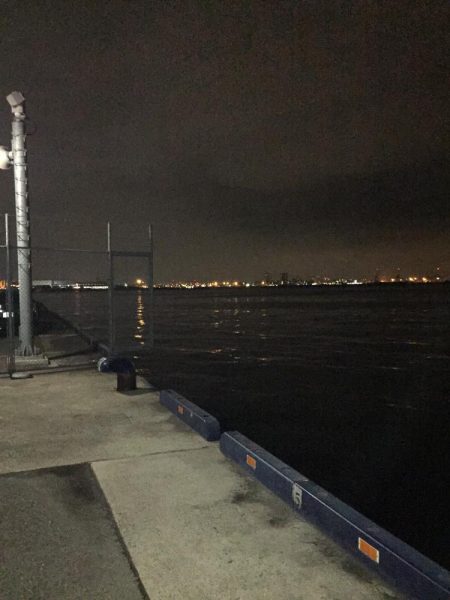 チーバスゲット！