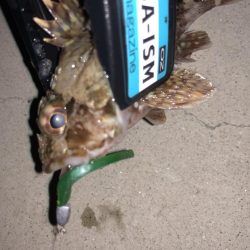 奴らは意外と足元に…！！