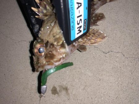 奴らは意外と足元に…！！