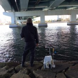 エビ撒き絶好調！