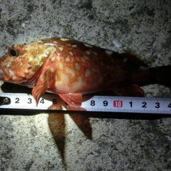 気候は良かったが