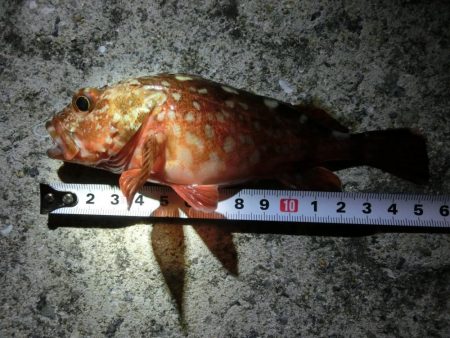 気候は良かったが