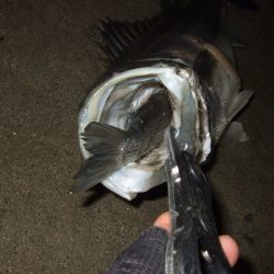 まだまだアフター居ます