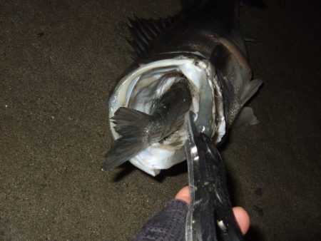 まだまだアフター居ます