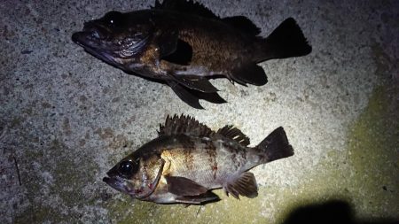 昨日のリベンジ