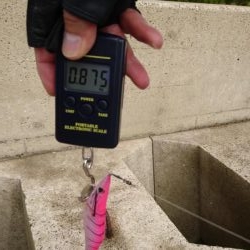 仲間とエギング