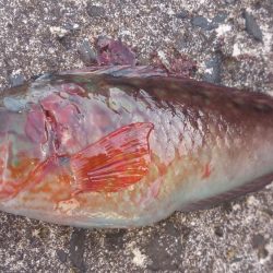 快晴で気持ちいい