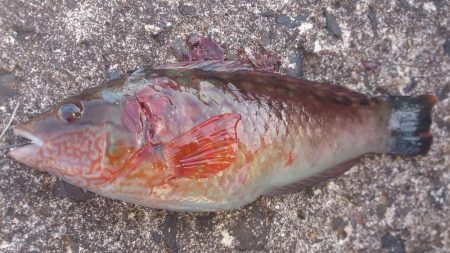 快晴で気持ちいい