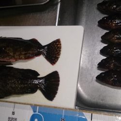 釣りを許された時間で