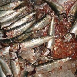 釣りは直感が大事!?