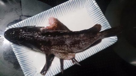 まづめのみ短時間