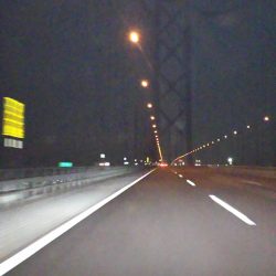 淡路島アジ調査