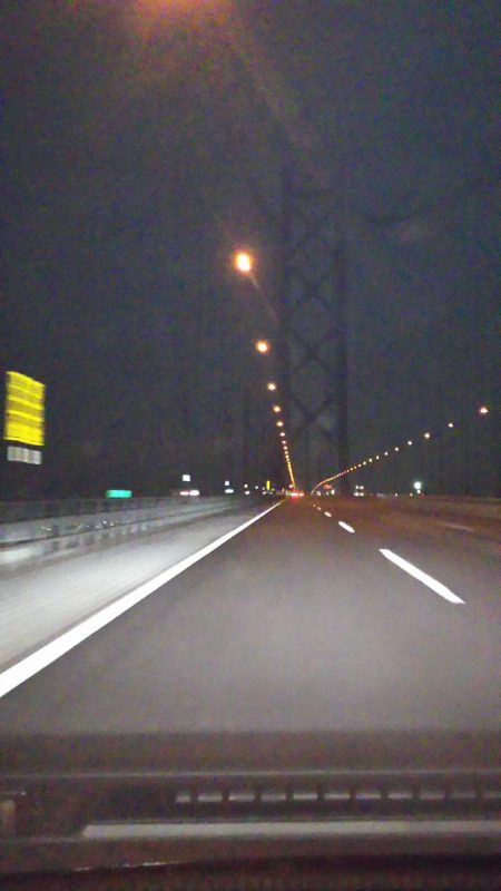 淡路島アジ調査