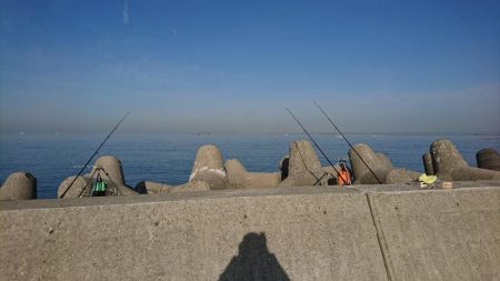 花見ガレイ(戻りガレイ)