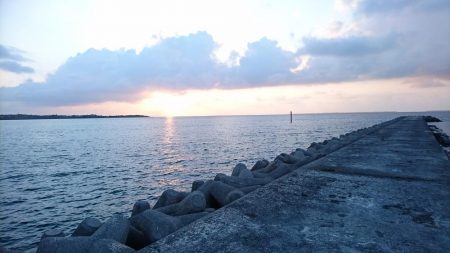 西表島 今日もオニカマス