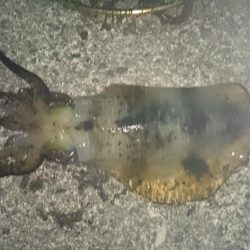 今週も同じ場所で！