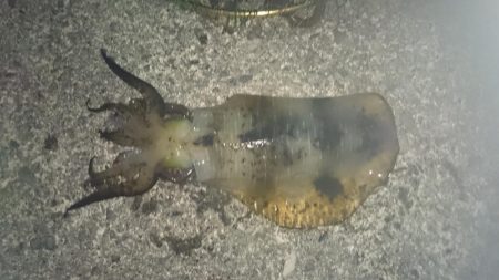 今週も同じ場所で！