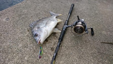 キビレデイゲーム