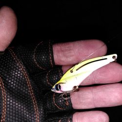 初めてのマルチ安打♪