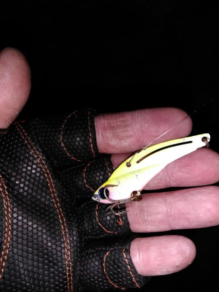 初めてのマルチ安打♪