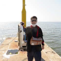 久しぶりの湾奧シーバスをゲット!