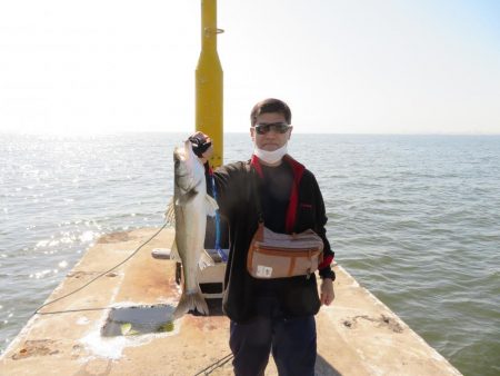 久しぶりの湾奧シーバスをゲット!