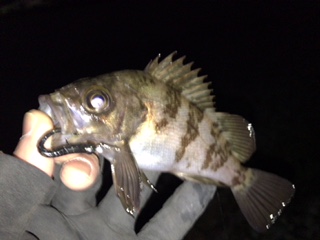 泉南サーフでリベンジ