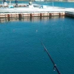カタタの釣り掘りでカンパチ狙い