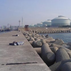 のっこみスタート