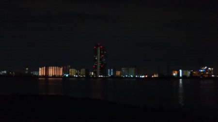 ホームでのシーバス調査