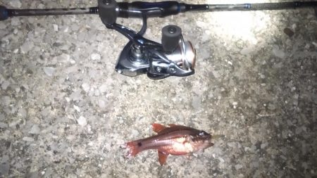 宇和島遠征　最終日