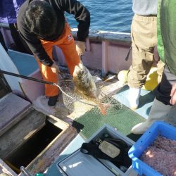 自己ベストです。