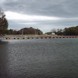 大安トラウトレイク 釣果