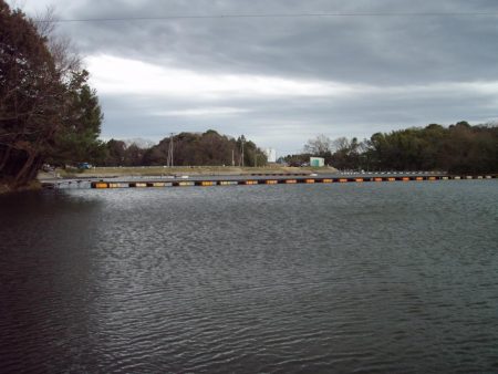 大安トラウトレイク 釣果
