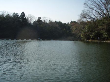 大安トラウトレイク 釣果