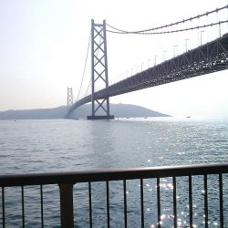 子供とお散歩釣行