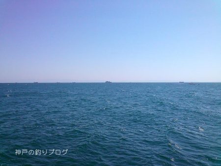 チヌ狙いは撃沈