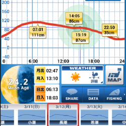 連日ライトゲーム