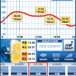 生態調査 in 垂水漁港