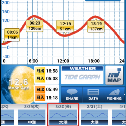 パイセン接待メバリング調査2