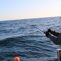 へいみつ丸 釣果