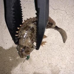 奴らは意外と足元に…！！