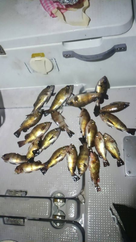 ボートメバリング