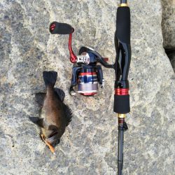 デイメバリング