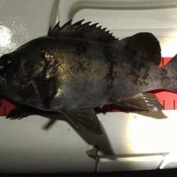 嬉しい25アップ！！