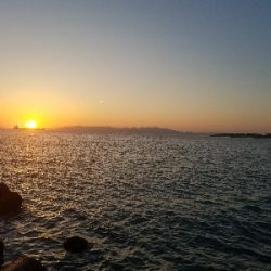 ガシラ釣り　～ブラクリ忘れた～