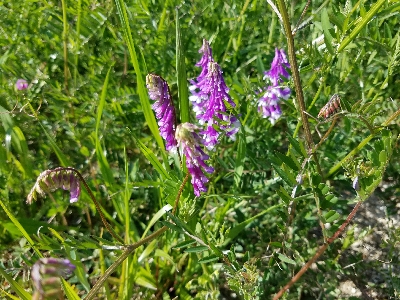 淡水小物釣り ~まだ活性低いかな~