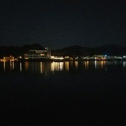 ガシラ釣り　～大物連発！～