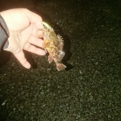 劇アーレーの豆マーメー