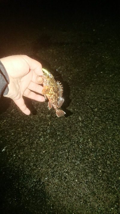 劇アーレーの豆マーメー